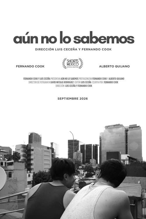 Aún no lo sabemos afişi