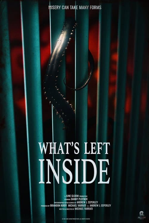 What's Left Inside afişi