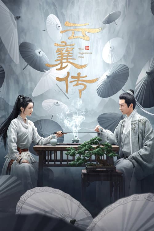 云襄传 afişi