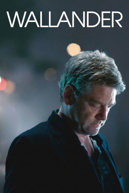 Wallander afişi