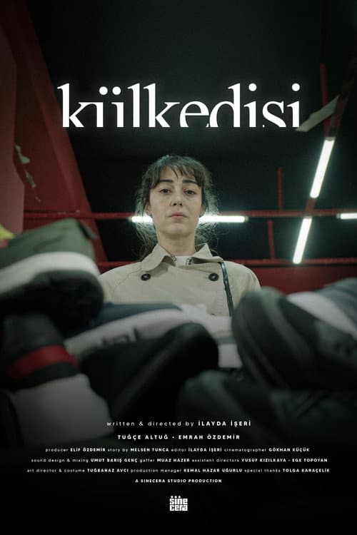 Külkedisi afişi