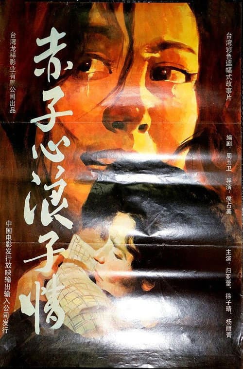赤子心浪子情 afişi