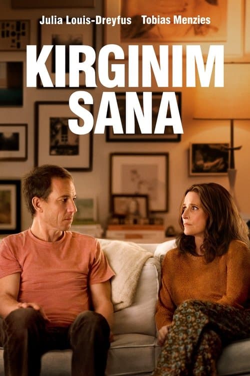 Kırgınım Sana afişi