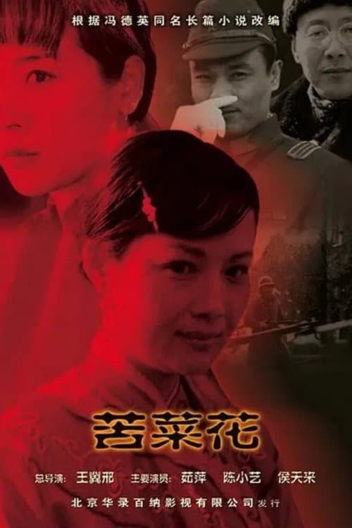苦菜花 afişi