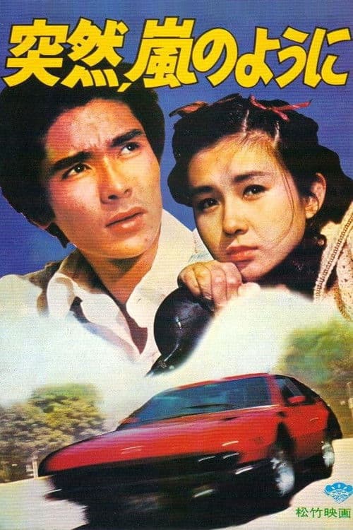 突然、嵐のように afişi
