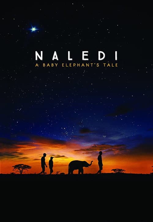 Yavru Fil Naledi afişi