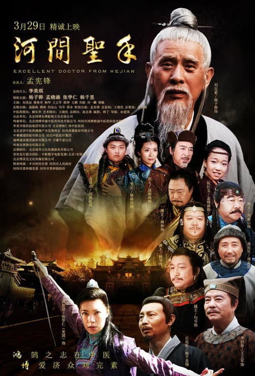 河间圣手 afişi