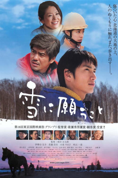 雪に願うこと afişi
