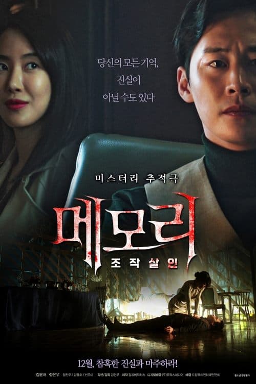 메모리: 조작살인 afişi
