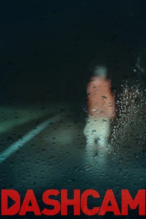 Dashcam afişi