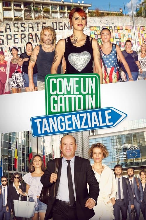 Come un gatto in tangenziale afişi