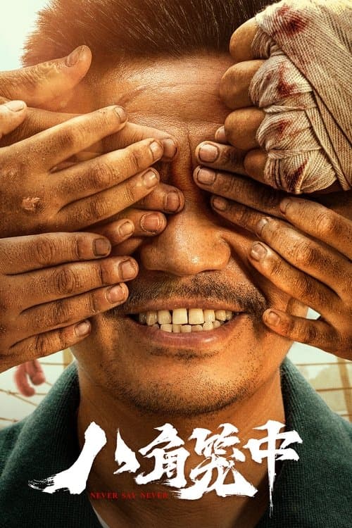 八角笼中 afişi