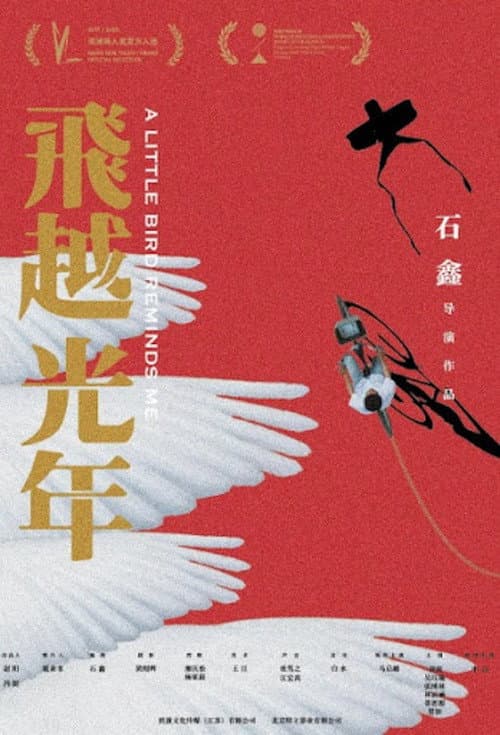飞越光年 afişi