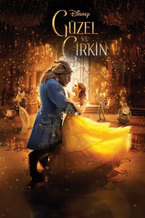 Güzel ve Çirkin afişi