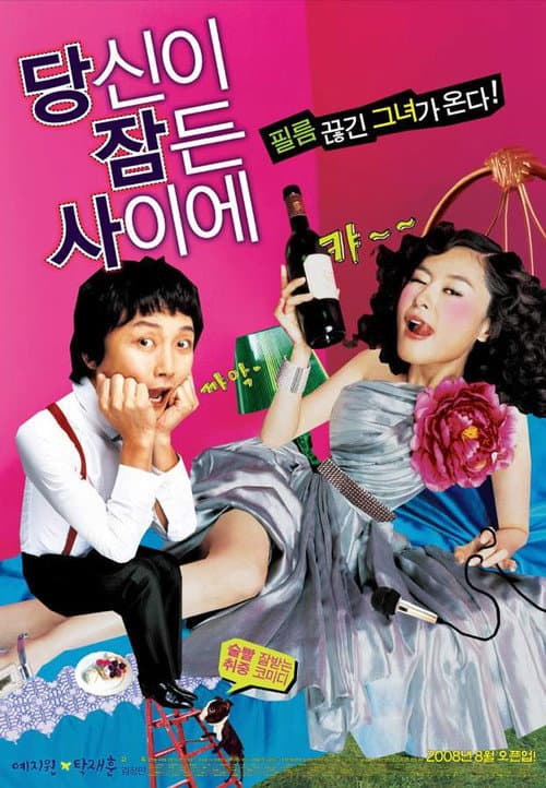 당신이 잠든 사이에 afişi