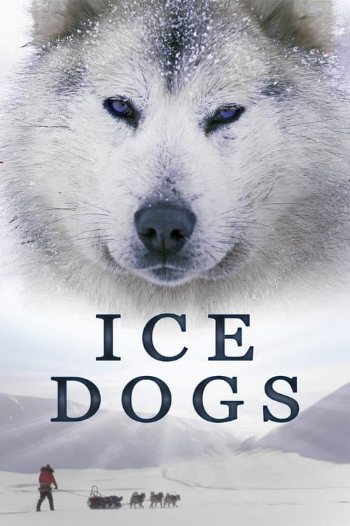 Ice Dogs: The Only Companions Worth Having afişi