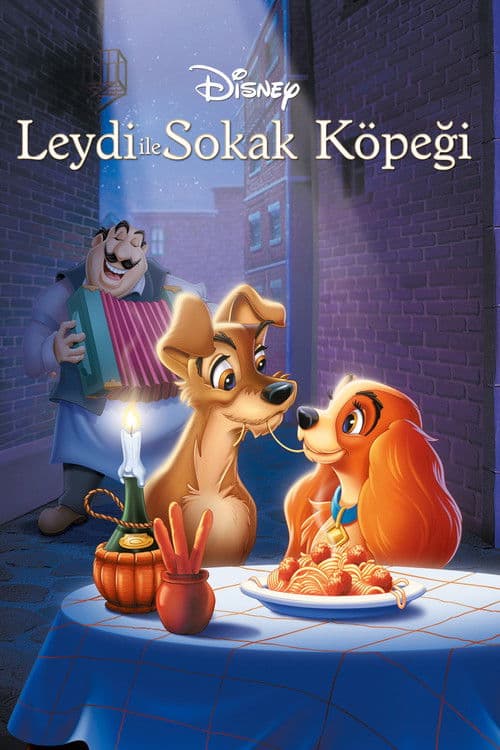 Leydi ile Sokak Köpeği afişi