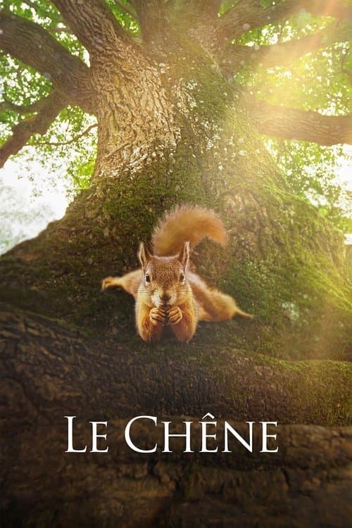 Le Chêne afişi