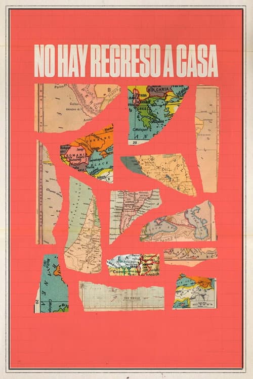 No hay regreso a casa afişi