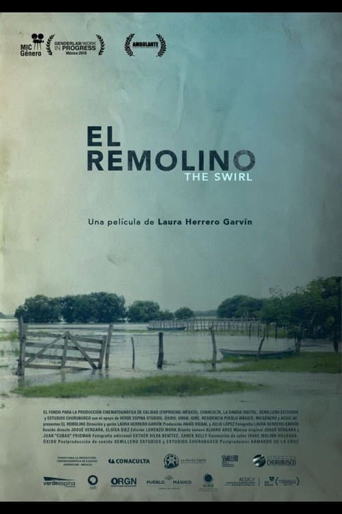 El Remolino afişi