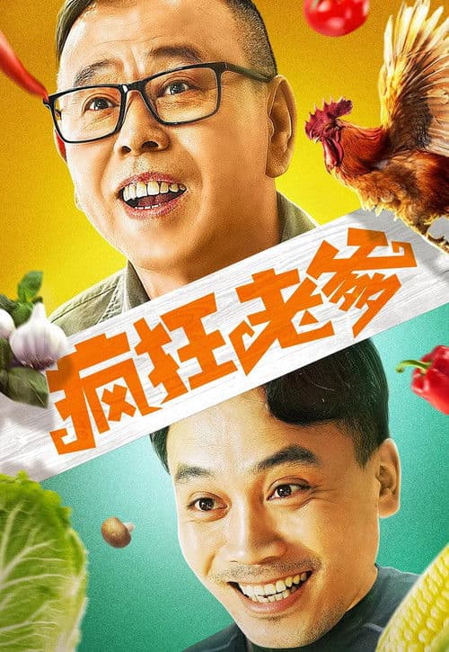 疯狂老爹 afişi