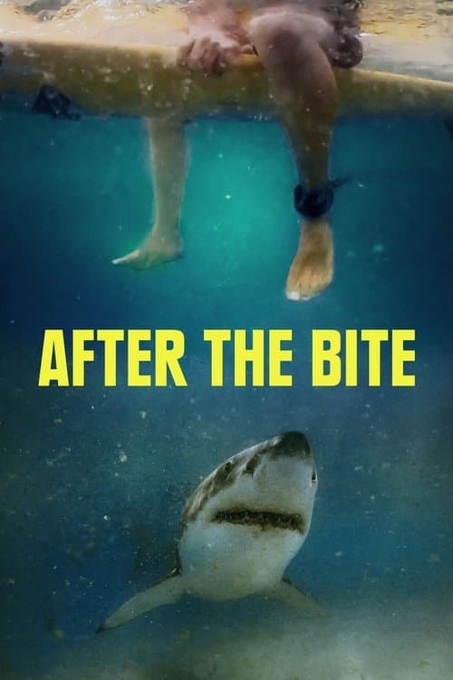 After the Bite afişi
