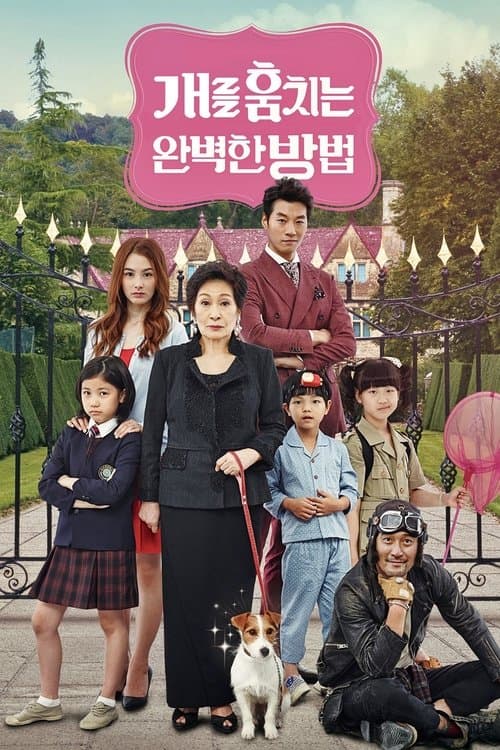 개를 훔치는 완벽한 방법 afişi
