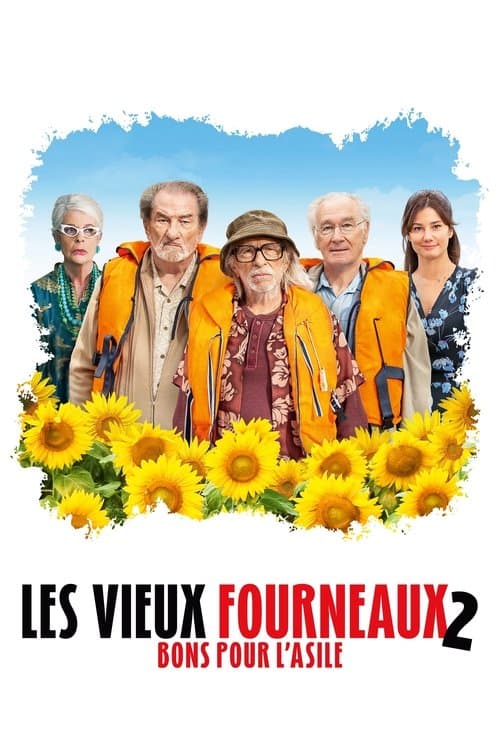Les Vieux Fourneaux 2 : Bons pour l'asile afişi