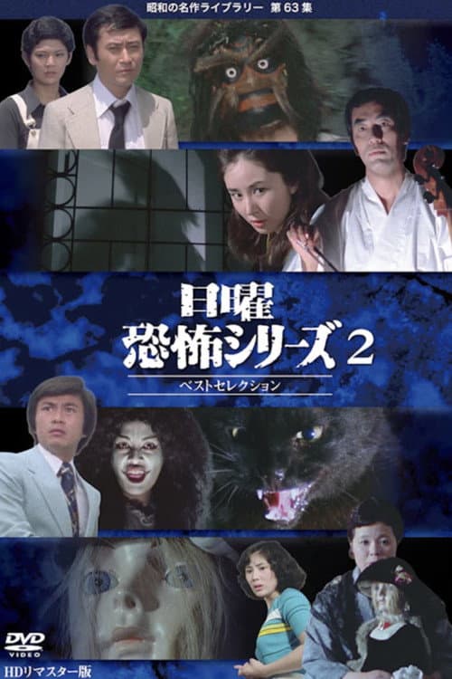 日曜恐怖シリーズ　ベストセレクション2 afişi