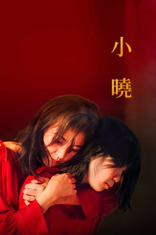 小曉 afişi