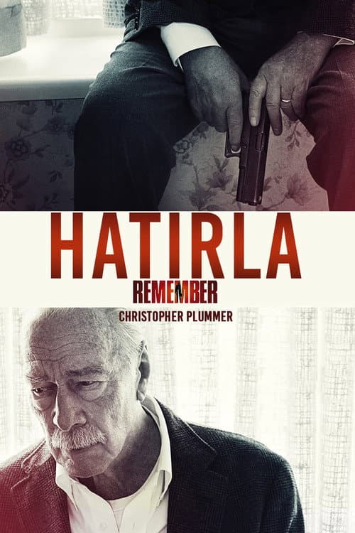 Hatırla afişi