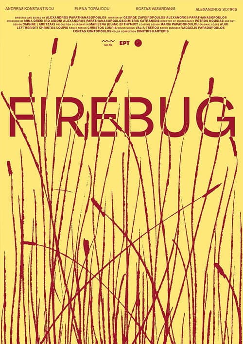 Firebug afişi