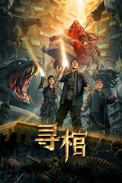 寻棺 afişi