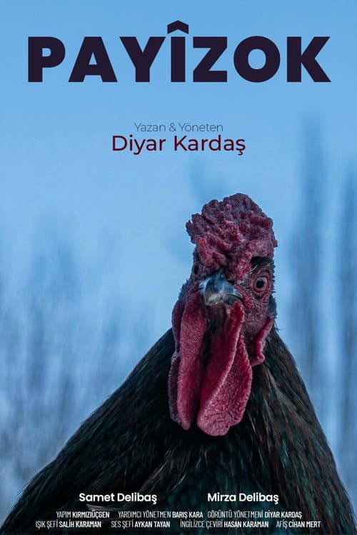 Payîzok afişi