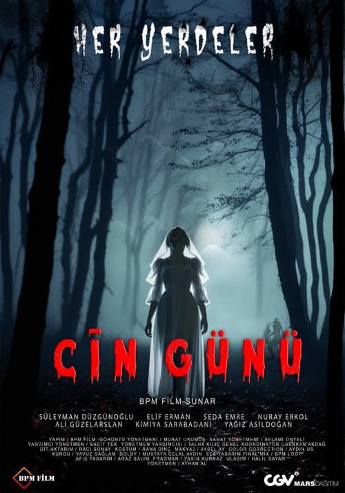 Cin Günü afişi