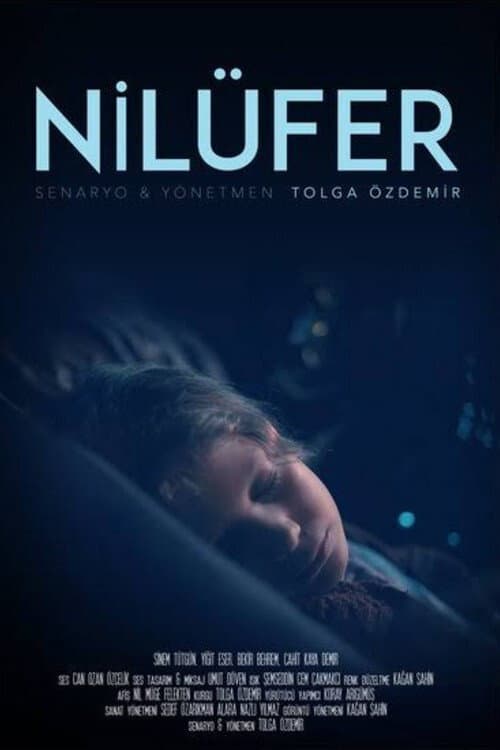Nilüfer afişi