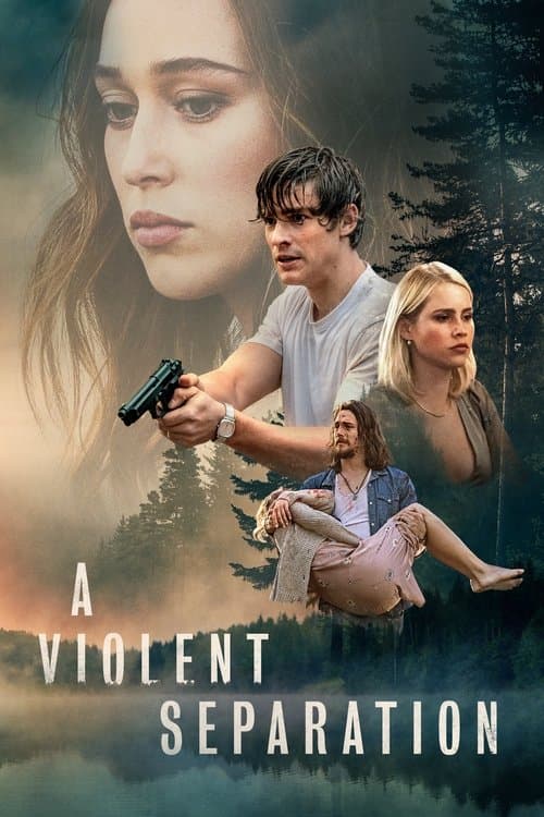 A Violent Separation afişi