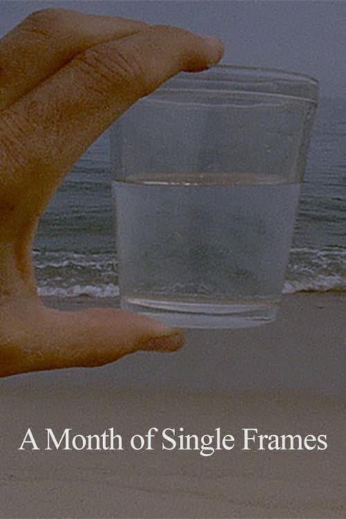 A Month of Single Frames afişi
