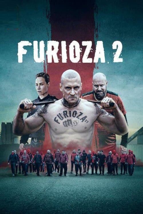 Öfke Çemberi 2 afişi