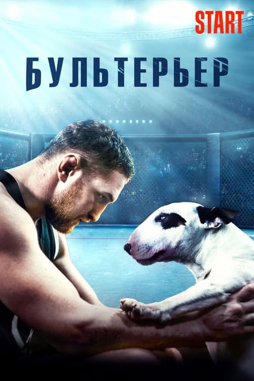 Бультерьер afişi