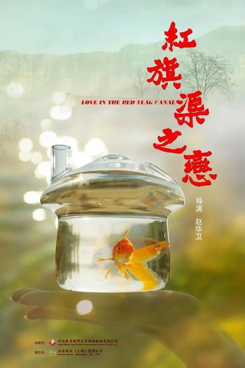 红旗渠之恋 afişi