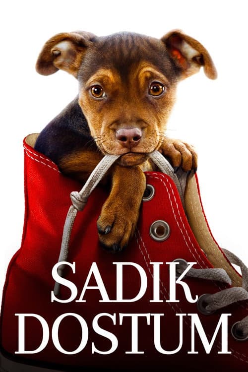 Sadık Dostum afişi