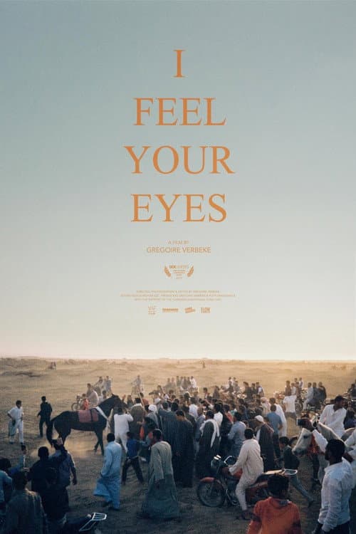 I Feel Your Eyes afişi