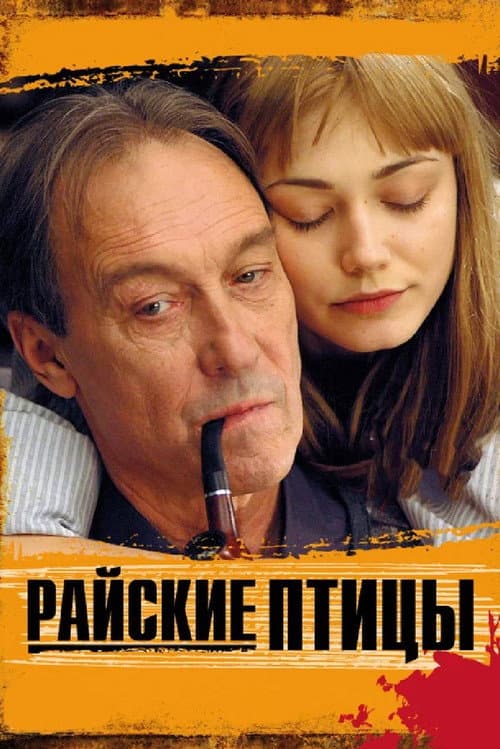Райские птицы afişi