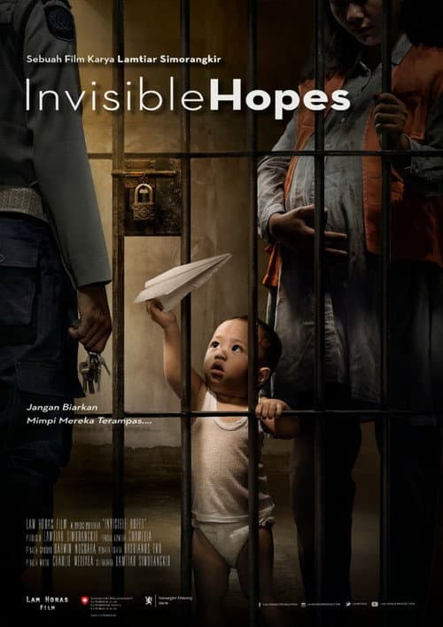 Invisible Hopes afişi