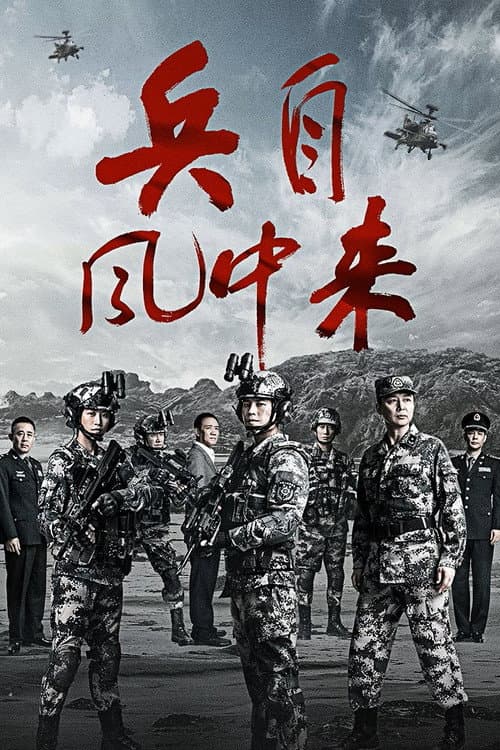 兵自风中来 afişi