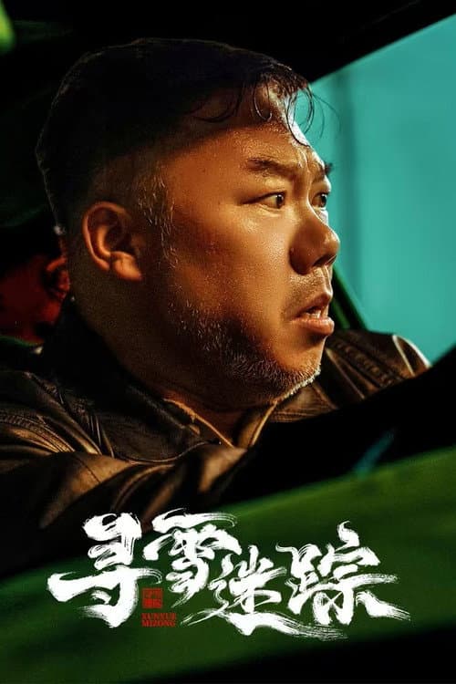 寻雪迷踪 afişi