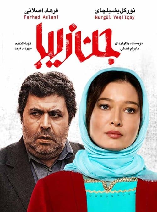 جن زیبا afişi