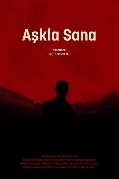 Aşkla Sana afişi