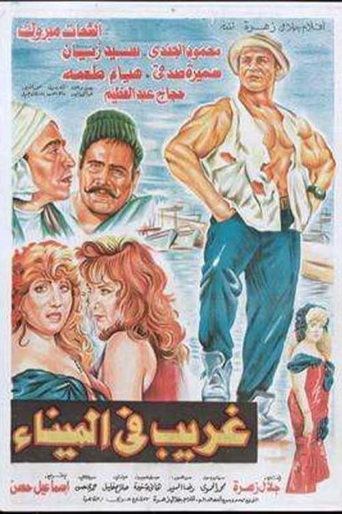 غريب في الميناء afişi